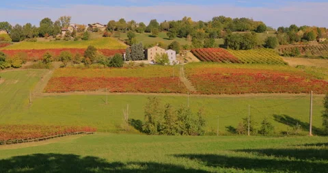 Autumn colours Stock Footage 163528871