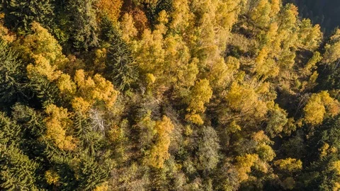 Autumn Colours Mountains Fall Alps Switzerland Aerial 4k Stock Footage