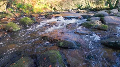 Autumn Colours over Mountain River, River Dart, Dartmoor Park, Devon, England Video stock 165943085