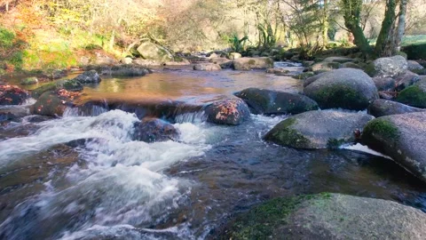 Autumn Colours over Mountain River, River Dart, Dartmoor Park, Devon, England Stock Footage 165943583