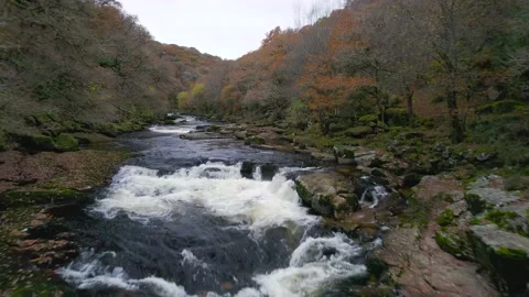 Autumn Colours over Mountain River, River Dart, Dartmoor Park, Devon, England Video stock 166340761