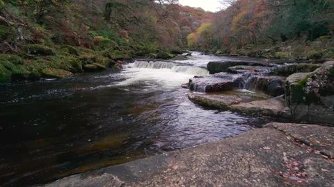Autumn Colours over Mountain River, River Dart, Dartmoor Park, Devon, England 스톡 동영상 166340900