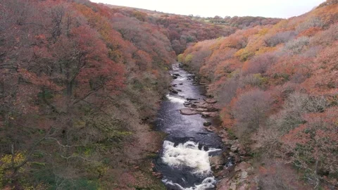 Autumn Colours over Mountain River, River Dart, Dartmoor Park, Devon, England Stock Footage 166341895