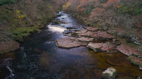 Autumn Colours over River Dart from a drone, Dartmoor Park, Devon, England 库存影片 165499359