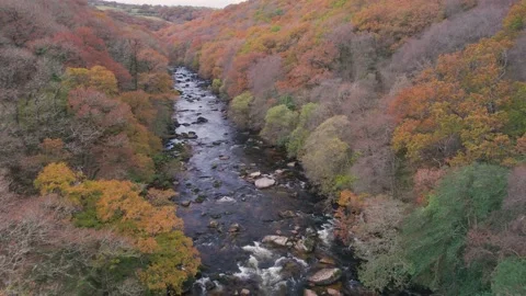 Autumn Colours over River Dart from a drone, Dartmoor Park, Devon, England Stock Footage 165499743