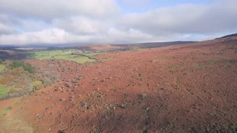 Autumn Colours over River Dart from a drone, Dartmoor Park, Devon, England Video stock 165851352