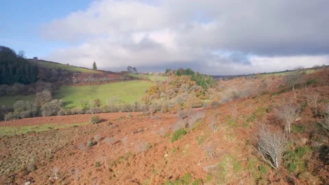 Autumn Colours over River Dart from a drone, Dartmoor Park, Devon, England Stock Footage 165873302