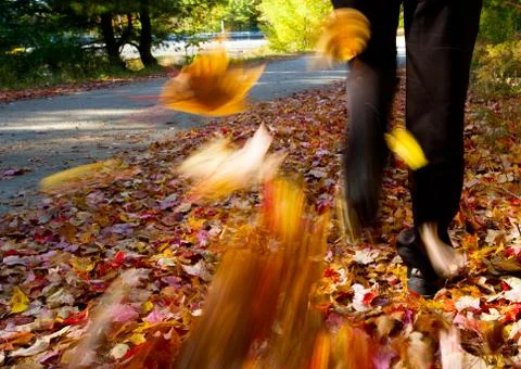 Autumn colours Stock Photos