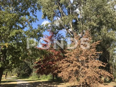 Autumn colours Stock Photos