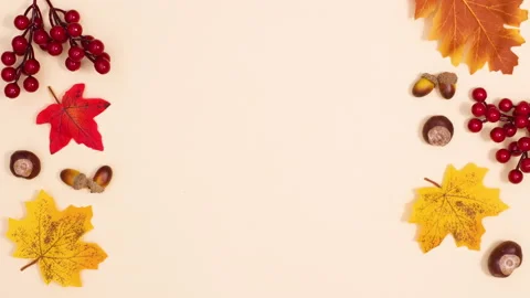 Autumn composition appear on left and right side and book open. Stop motion Stock Footage 157282543