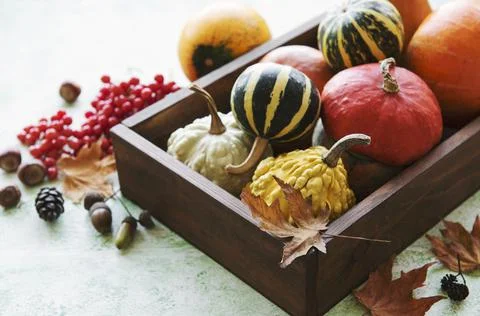 Autumn composition with assorted pumpkins Foto stock