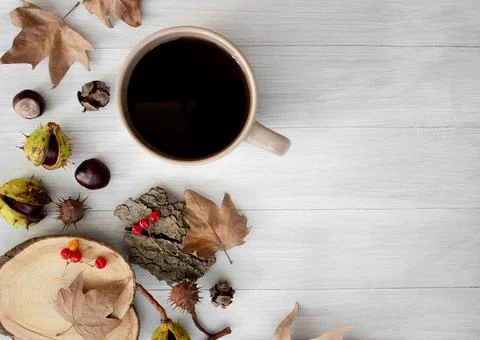 Autumn composition. Autumn layout on a light wooden background. Chestnuts Stock Photos