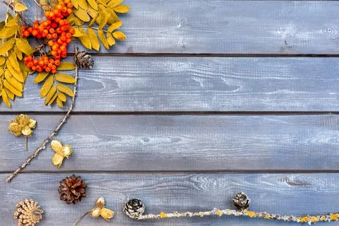 Autumn composition for the background. Clusters of mountain ash, yellowed lea Stock Photos
