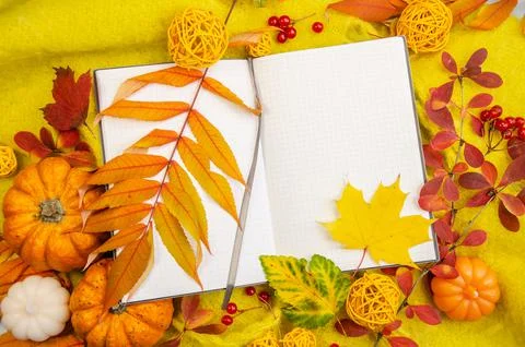 Autumn composition background horizontal knitted with workspace planner blank Stock Photos
