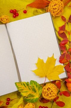 Autumn composition background knitted with vertical workspace planner blank n Stock Photos
