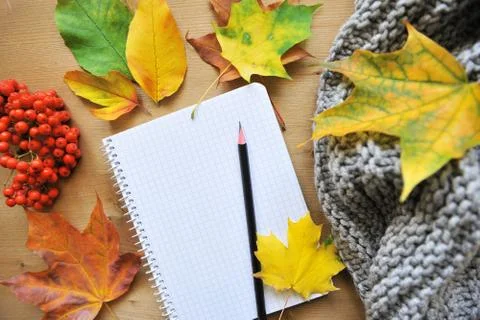 Autumn composition background Stock Photos