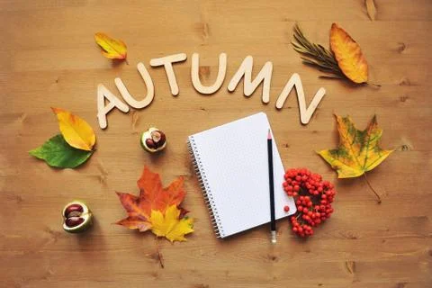 Autumn composition background Stock Photos