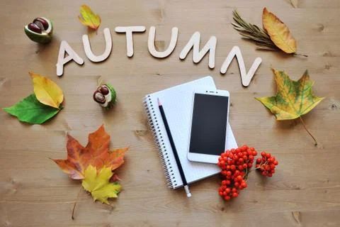 Autumn composition background Stock Photos