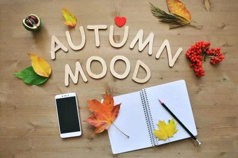 Autumn composition background Stock Photos