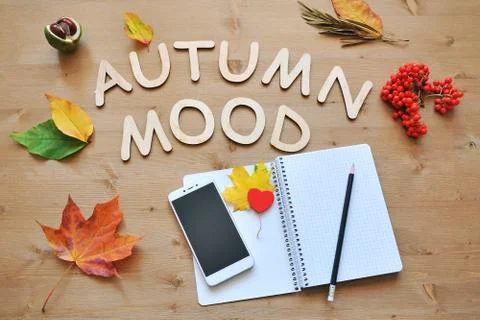 Autumn composition background Foto stock