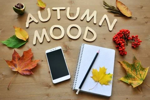 Autumn composition background Stock Photos