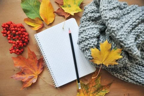 Autumn composition background Stock Photos