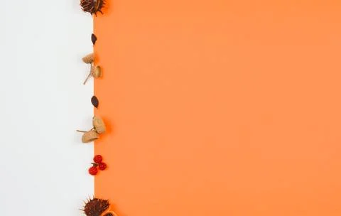 Autumn  composition  background . Stock Photos