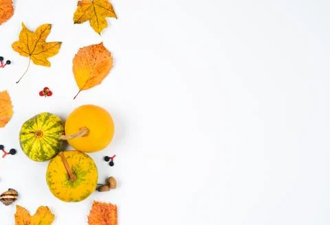 Autumn  composition  background . Stock Photos