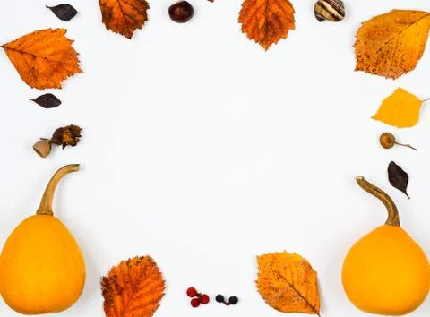 Autumn  composition  background . Foto stock