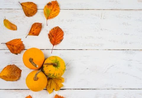 Autumn  composition  background. Stock Photos