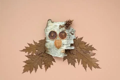 Autumn composition with birch bark making head of owl Stock Photos