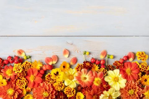 Autumn composition on the blue table Stock Photos
