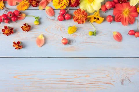 Autumn composition on the blue table Stock Photos