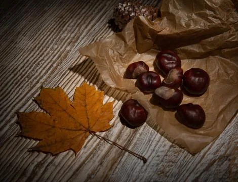 Autumn composition with chestnuts and maple leaf Stock Photos