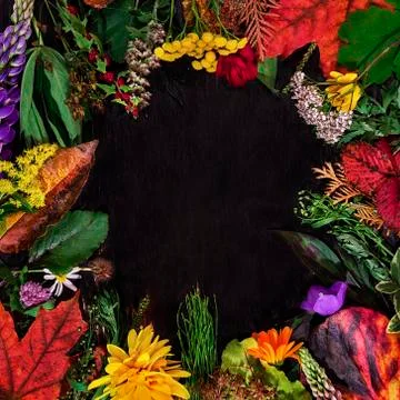 Autumn composition with copyspace 库存照片