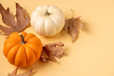 Autumn composition with creative top view autumn leaves and mini pumpkins. Stock Photos
