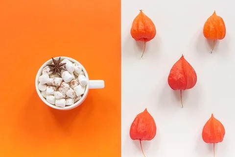 Autumn composition. Cup of cocoa with marshmallows and autumn dried red flowe Stock Photos