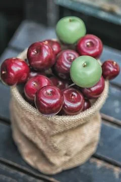 Autumn composition with different pumpkins, autumn leaves, chestnuts, rowan b Stock Photos