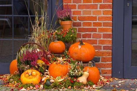 Autumn composition of different types of pumpkins, heather in pots and bask.. Stock Photos