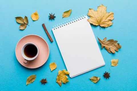 Autumn composition: fallen leaves and notebook mock up on colored backgroun.. Stock Photos