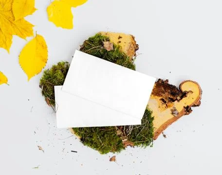 Autumn composition flat lay. Comfortable and cozy autumn, lifestyle concept. Stock Photos