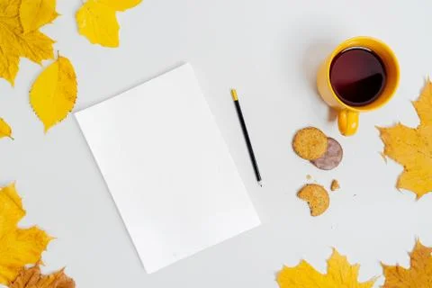 Autumn composition flat lay. Comfortable and cozy autumn, lifestyle concept. Stock Photos