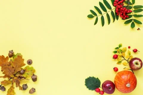 Autumn Composition. Flat lay. Copy space. Stock Photos