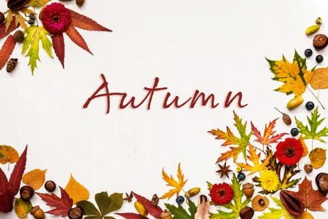 Autumn Composition. Frame. Flat lay. Stock Photos