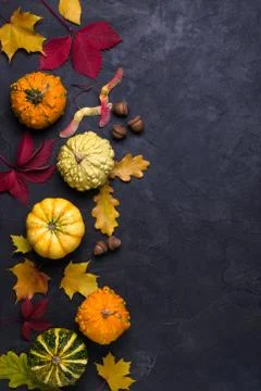 Autumn composition. Frame made of different multicolor dried leaves Stock-Fotos