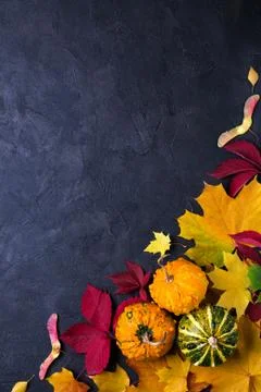 Autumn composition. Frame made of different multicolor dried leaves Stock Photos