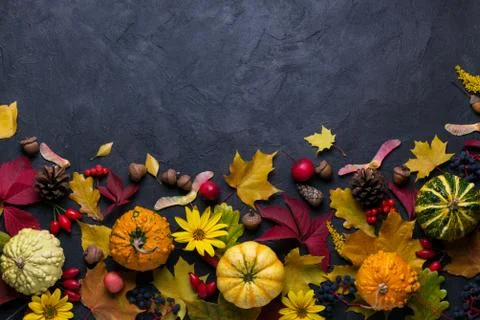 Autumn composition. Frame made of different multicolor dried leaves Stock Photos