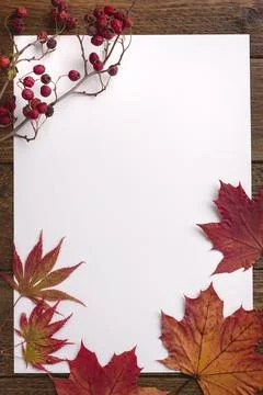Autumn composition. Frame made of dried leaves on white background. Autumn, f Stock Photos