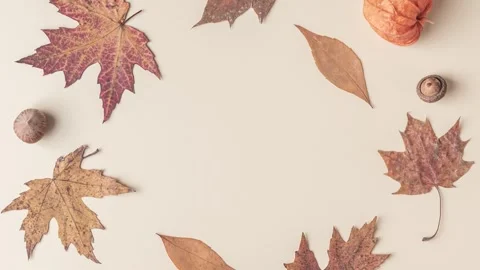 Autumn composition. Frame made of dry leaves, flowers, acorn on beige background Stock Footage 282305028