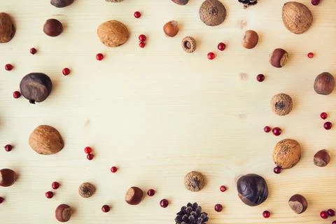 Autumn composition. Frame made of nuts, berries and cones on wooden backgroun Stock Photos
